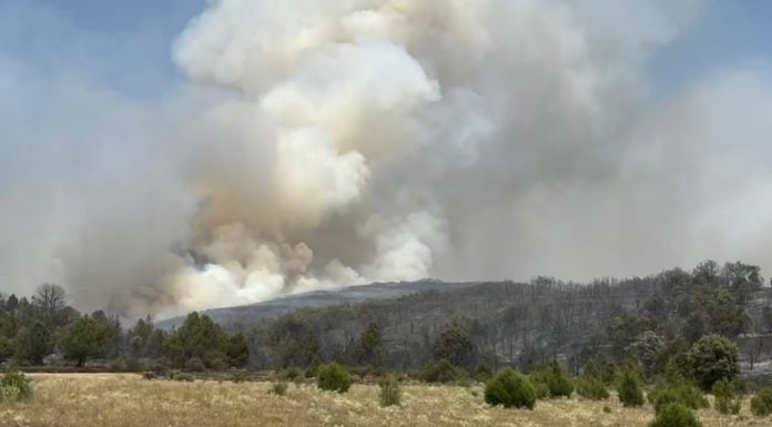 Incendio de Selas.