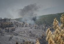 El PP reclama más medios contra el incendio Incendio de Guadalajara