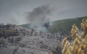 Incendio de Guadalajara