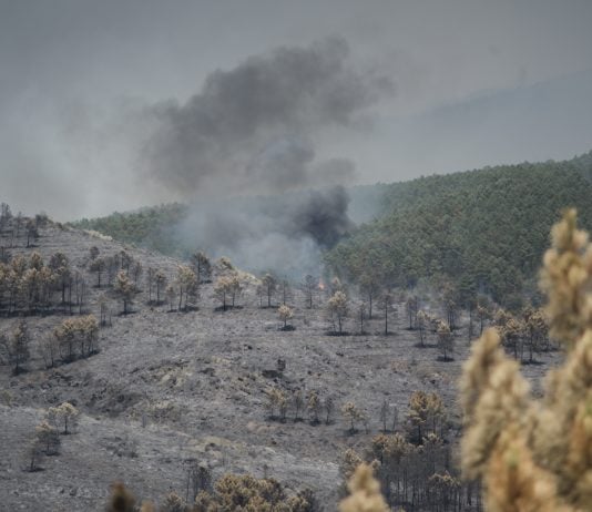 Incendio de Guadalajara
