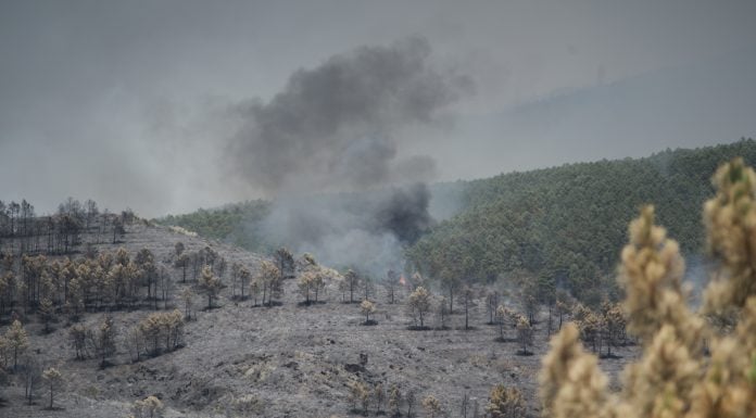 Incendio de Guadalajara