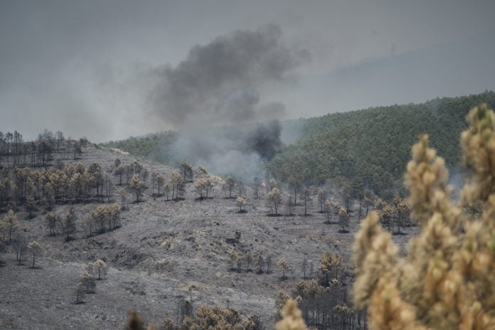 Incendio de Guadalajara