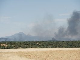 Incendio de La Mierla