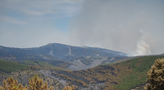 El agua del Sorbe baja limpia… por ahora Uno de los parajes que ardieron el pasado verano y cuyas escorrentías aún preocupan.