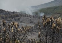 SÁBADO NEGRO con 9.000 hectáreas arrasadas en el incendio de Guadalajara (18 FOTOS) Paisaje desolador después de tres días y 9.000 hectáreas quemadas en Guadalajara. (Foto: Mateo Lanzuela / EP)