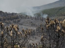 Paisaje desolador después de tres días y 9.000 hectáreas quemadas en Guadalajara. (Foto: Mateo Lanzuela / EP)