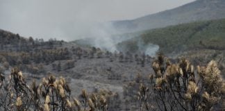 Paisaje desolador después de tres días y 9.000 hectáreas quemadas en Guadalajara. (Foto: Mateo Lanzuela / EP)