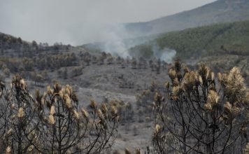 Nivel 0 en el incendio de La Mierla Paisaje desolador después de tres días y 9.000 hectáreas quemadas en Guadalajara. (Foto: Mateo Lanzuela / EP)