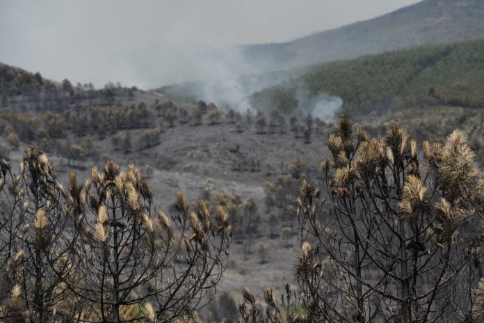 Paisaje desolador después de tres días y 9.000 hectáreas quemadas en Guadalajara. (Foto: Mateo Lanzuela / EP)