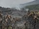 Nivel 0 en el incendio de La Mierla Paisaje desolador después de tres días y 9.000 hectáreas quemadas en Guadalajara. (Foto: Mateo Lanzuela / EP)
