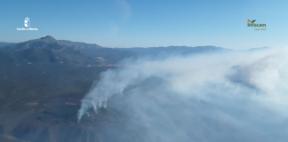 21 medios aéreos sobre el incendio de Guadalajara El incendio de La Mierla, desde el aire. (Foto: Infocam)