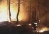 13.000 hectáreas quemadas era el balance del incendio a media mañana del domingo Trabajos de extinción durante la madrugada del viernes en el incendio de La Mierla.
