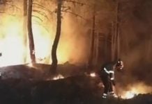 El fuego devora el Parque Natural de la Sierra Norte y ya hay 4 pueblos evacuados Trabajos de extinción durante la madrugada del viernes en el incendio de La Mierla.