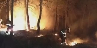 Trabajos de extinción durante la madrugada del viernes en el incendio de La Mierla.