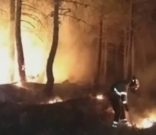 Trabajos de extinción durante la madrugada del viernes en el incendio de La Mierla.