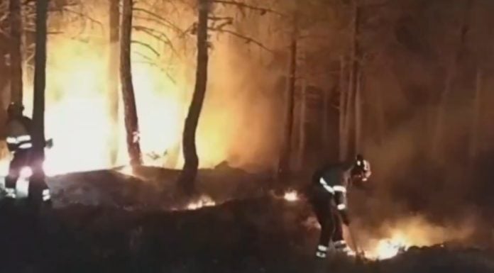 El fuego devora el Parque Natural de la Sierra Norte y ya hay 4 pueblos evacuados Trabajos de extinción durante la madrugada del viernes en el incendio de La Mierla.