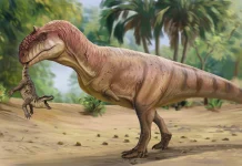 Dinosaurio de la especie cuyos dientes han aflorado ahora en Algora.