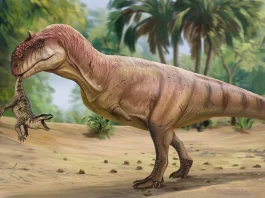 Dinosaurio de la especie cuyos dientes han aflorado ahora en Algora.