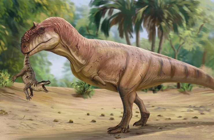 Dinosaurio de la especie cuyos dientes han aflorado ahora en Algora.