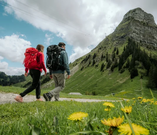 Buscando a Alien en Suiza descubres todo un paraíso en el cantón de Friburgo Los suizos han mantenido el cantón de Friburgo como un tesoro para los amantes de la historia, la gastronomía y la natural