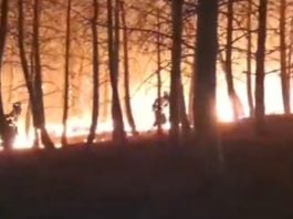 El incendio de El Ordial, de madrugada y desde dentro. (Foto: Infocam)