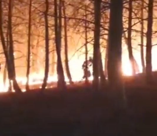 El incendio de El Ordial, de madrugada y desde dentro. (Foto: Infocam)
