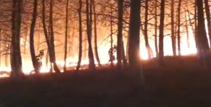 El incendio de El Ordial, de madrugada y desde dentro. (Foto: Infocam)