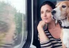 ¿Tu perro es grande? Lo puedes llevar contigo en el tren si viajas con Renfe perro tren