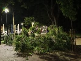 San Roque, cubierto de ramas en la medianoche del martes al miércoles. (Foto: Remitido LA CRÓNICA)
