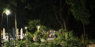 Un buen susto en San Roque San Roque, cubierto de ramas en la medianoche del martes al miércoles. (Foto: Remitido LA CRÓNICA)