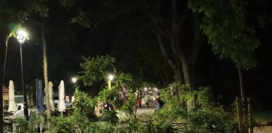 Un buen susto en San Roque San Roque, cubierto de ramas en la medianoche del martes al miércoles. (Foto: Remitido LA CRÓNICA)