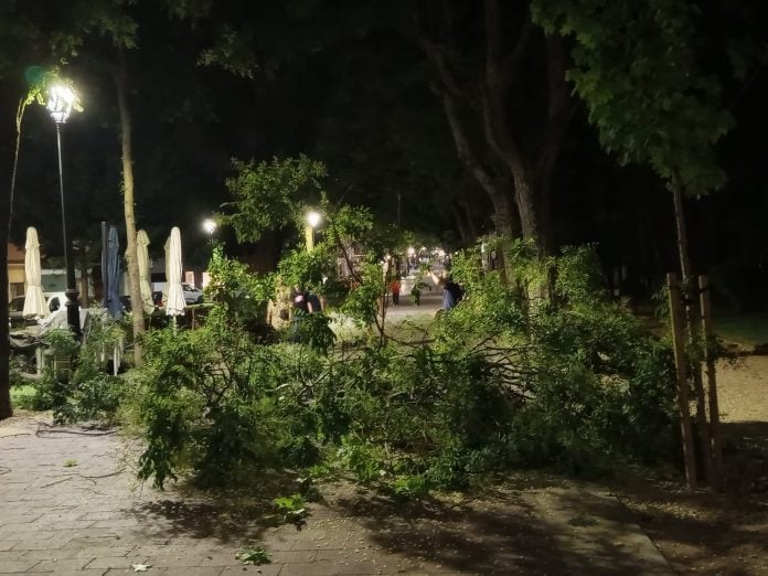 San Roque, cubierto de ramas en la medianoche del martes al miércoles. (Foto: Remitido LA CRÓNICA)