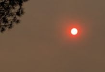 Pronóstico del tiempo Sol