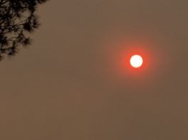 Sol