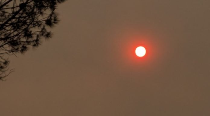 Pronóstico del tiempo para hoy, domingo Sol