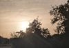 No te lleves un chasco con el eclipse: te decimos cómo comprobar si estás en el sitio adecuado Que un árbol no te impida ver el... eclipse. (Foto: La Crónic@)