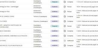 Algunas de las ofertas de empleo actualmente activas para la provincia de Guadalajara en la plataforma de la Junta.
