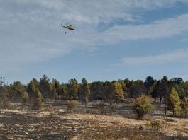 El incendio de El Recuenco.