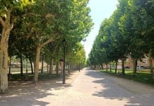 Molina de Aragón transformará el parque de la Alameda con 300.000 euros de la Diputación Parque de La Alameda, Molina de Aragón.