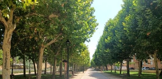 Molina de Aragón transformará el parque de la Alameda con 300.000 euros de la Diputación Parque de La Alameda, Molina de Aragón.