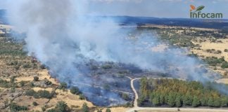 Hasta ahora no se había dado por extinguido el incendio de Riofrío del Llano y el de La Mierla sigue sin estarlo 06/08/2026 Un incendio declarado en Riofrío del Llano (Guadalajara) alcanza Nivel 1 por afección de humo a la población SOCIEDAD CASTILLA-LA MANCHA ESPAÑA EUROPA GUADALAJARA INFOCAM