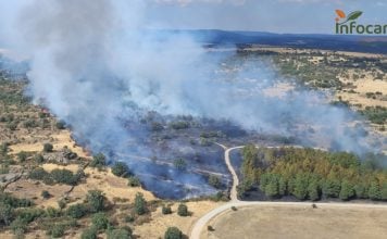 Hasta ahora no se había dado por extinguido el incendio de Riofrío del Llano y el de La Mierla sigue sin estarlo 06/08/2026 Un incendio declarado en Riofrío del Llano (Guadalajara) alcanza Nivel 1 por afección de humo a la población SOCIEDAD CASTILLA-LA MANCHA ESPAÑA EUROPA GUADALAJARA INFOCAM