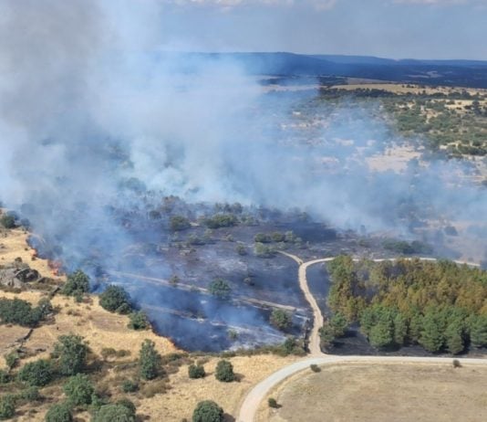 Incendio en Riofrío del Llano