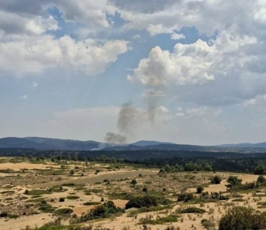 Incendio forestal en Checa