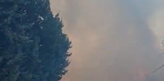 Extinguido 24 horas después el incendio de la urbanización de Galápagos incendio