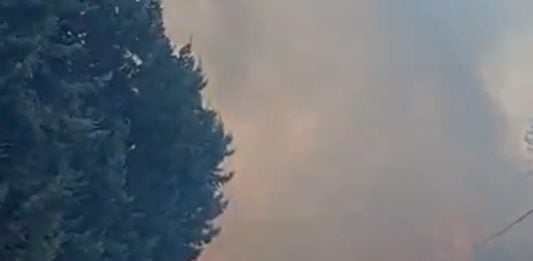 Extinguido 24 horas después el incendio de la urbanización de Galápagos incendio