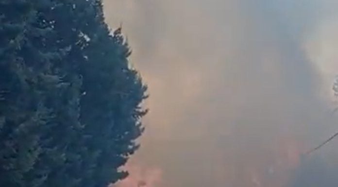 Extinguido 24 horas después el incendio de la urbanización de Galápagos incendio