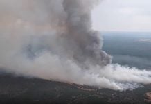 Evacuado El Recuenco por un incendio forestal Incendio en El Recuenco la tarde del viernes, 14 de agosto de 2026.