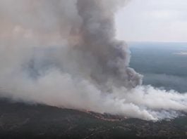Incendio en El Recuenco la tarde del viernes, 14 de agosto de 2026.