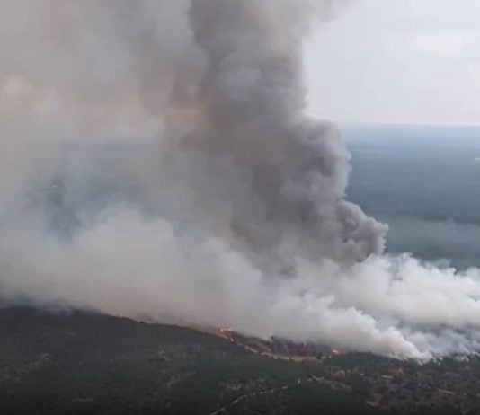 Buenas noticias desde el incendio del El Recuenco Incendio en El Recuenco la tarde del viernes, 14 de agosto de 2026.